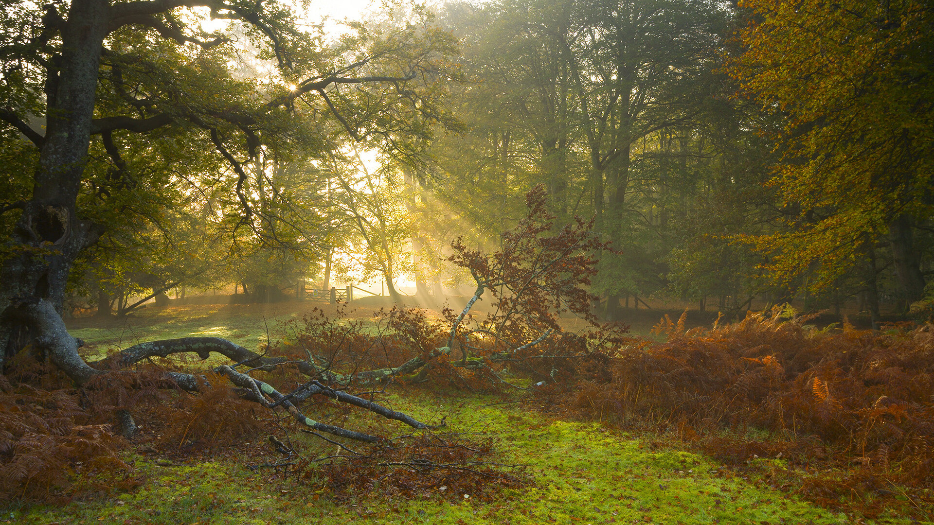 双线交织的夜，速度与意志的里程碑